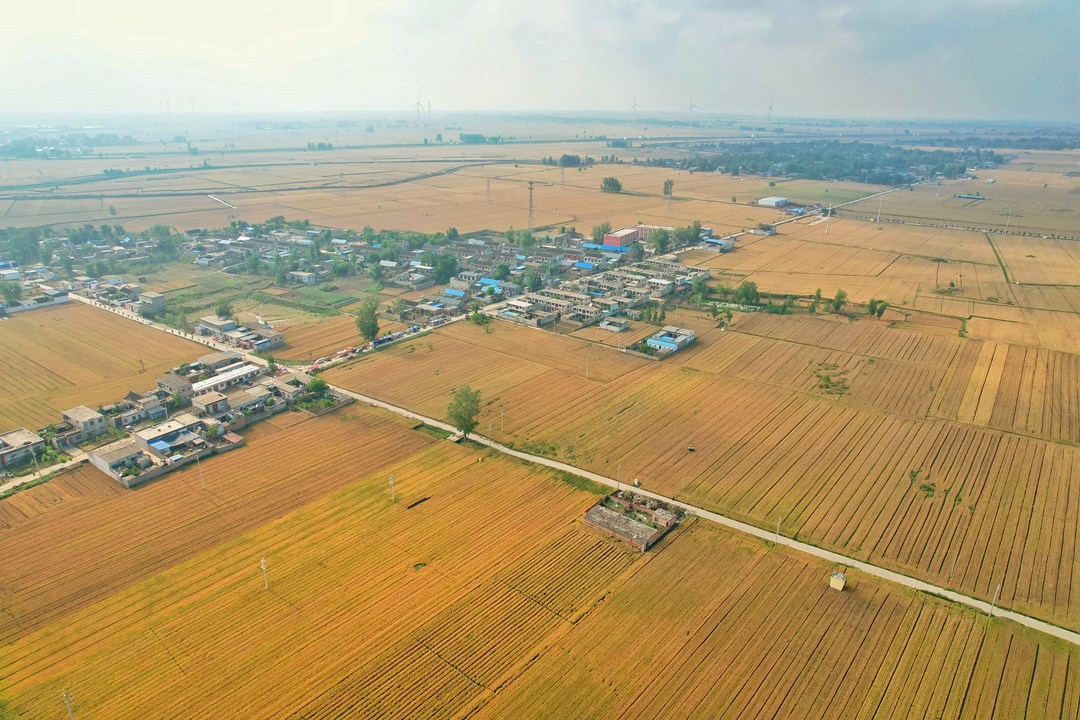 1691463405891882N9m2.jpg dji_fly_20230530_163056_26_1685435696484_photo-02.jpg