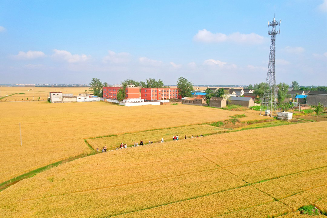 1691462928447137h7AR.jpg dji_fly_20230530_162202_9_1685435736151_photo-01.jpg