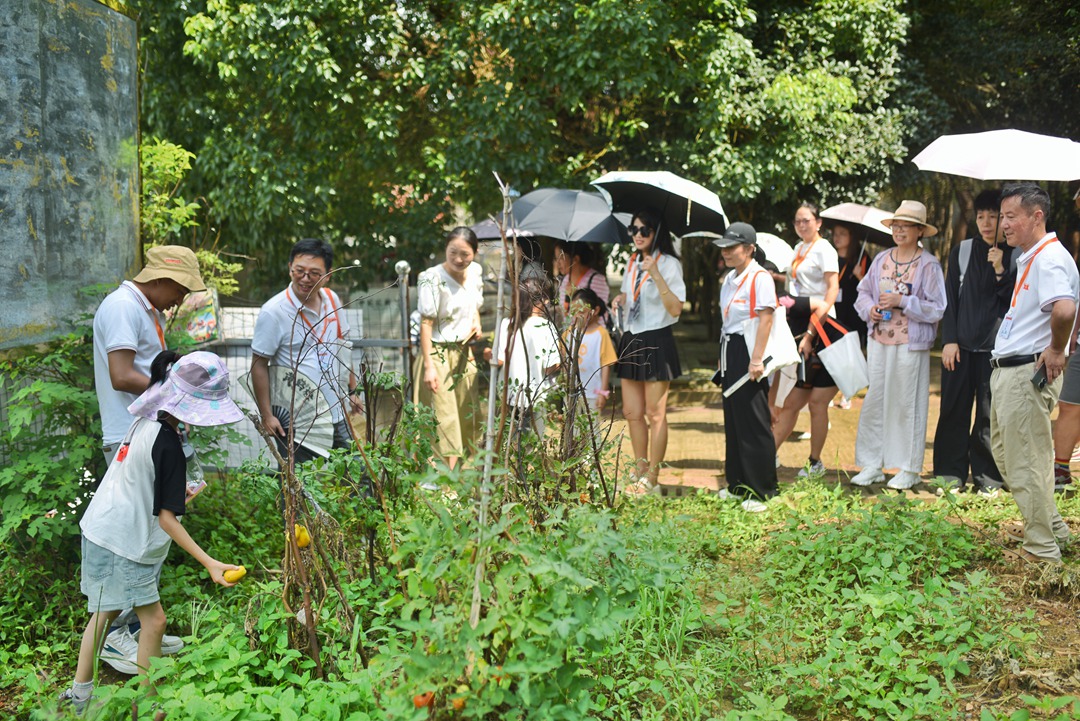 1723775583853384JRNr.jpg DSC_3729-01.jpg