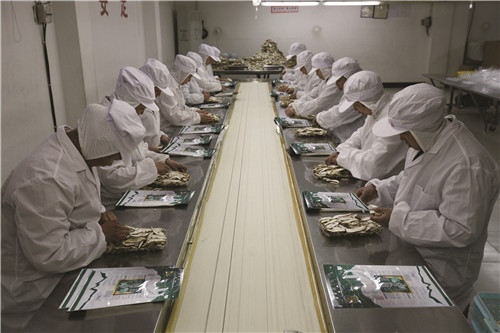 富来森食品公司喜获2012年度"食用菌出口